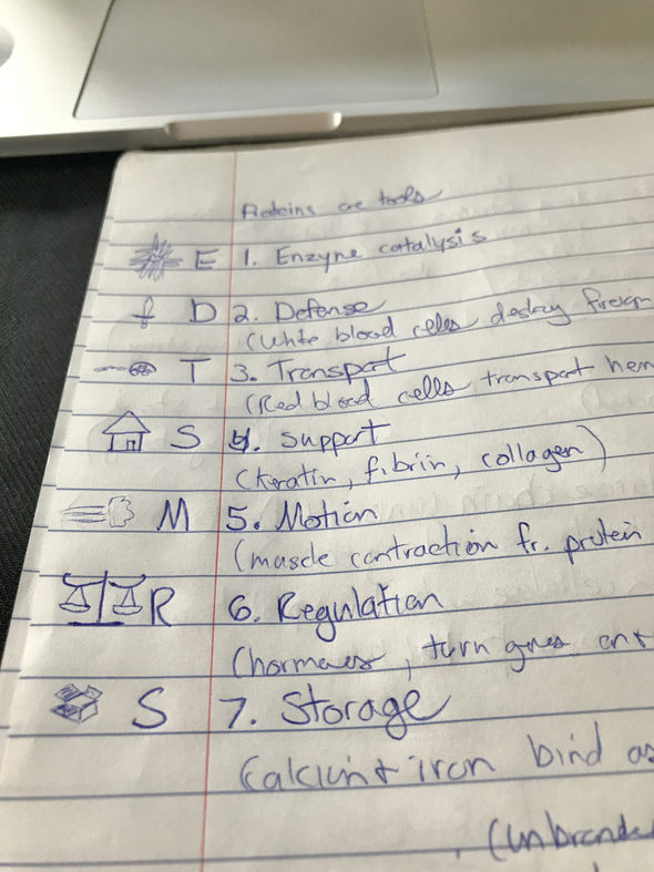 Handwritten biology notes
