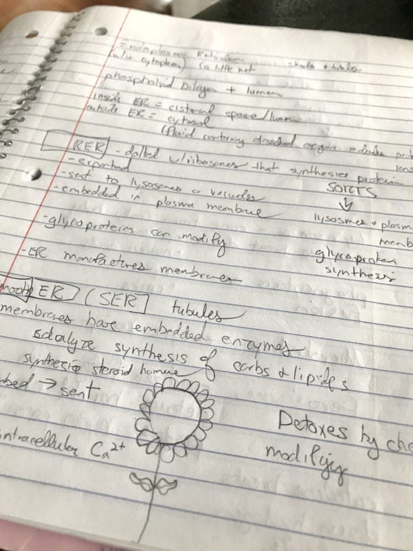 handwritten biology notes.