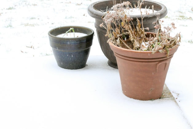 A light sprinkling of snow by three plant pots.