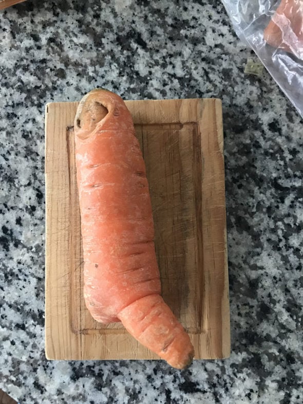 Hungry Harvest carrot with an appendage.