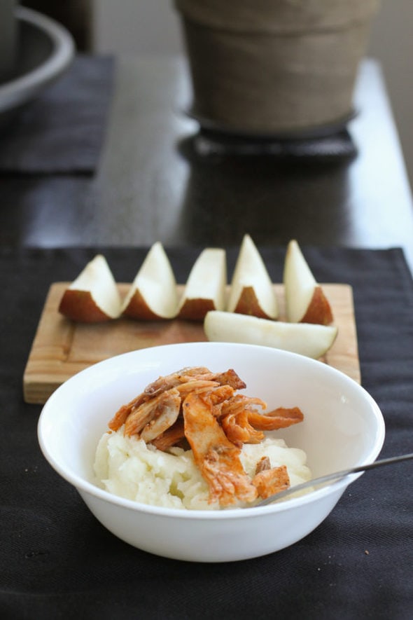 Mashed potatoes with pulled chicken.