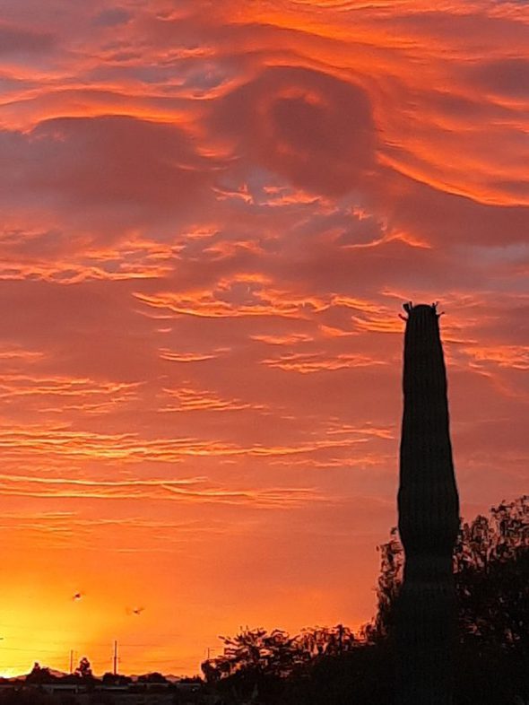 Arizona sunset with silhouette of a tower.