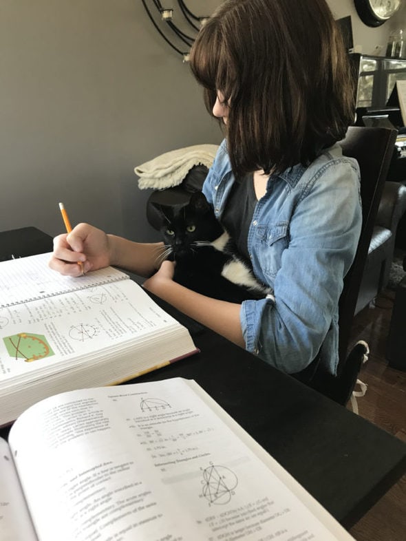 Zoe holding the cat while doing geometry homework.