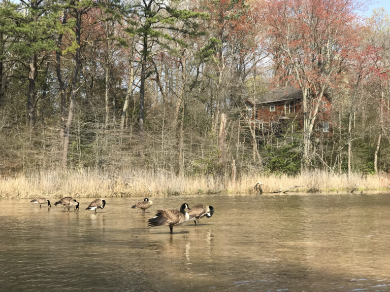 Thankful Thursday | back on the water!