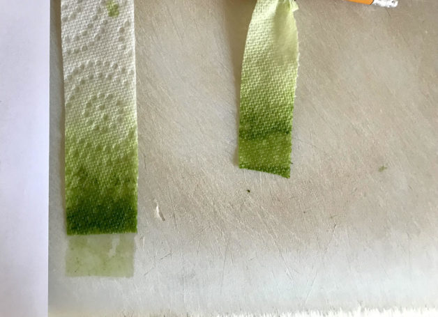 Chlorophyll chromatagraphy strips.