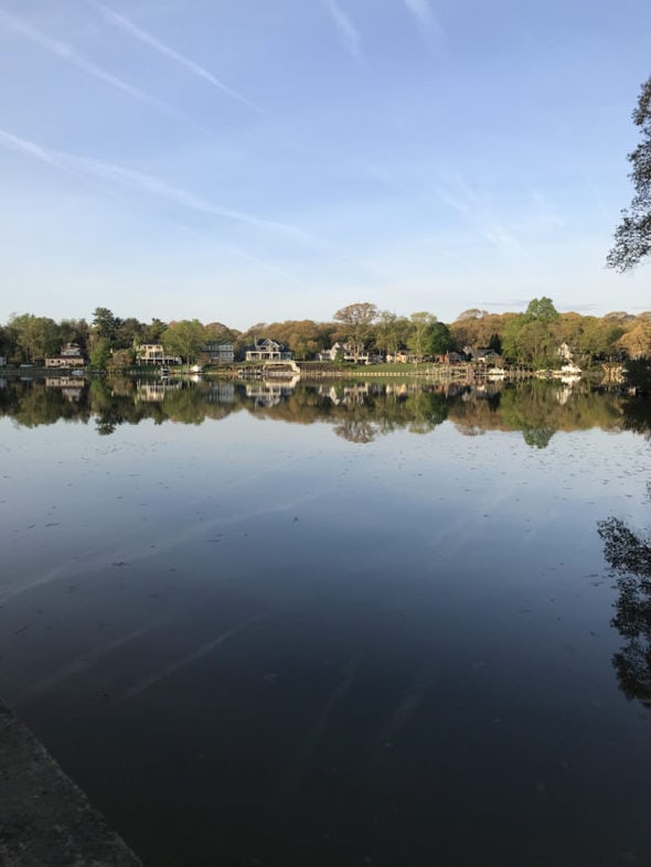 Kristen's neighborhood from the opposite shore, reflected in the river.