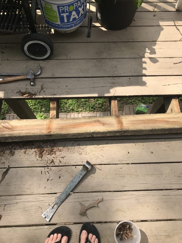 A brown deck with a single rotten board removed.