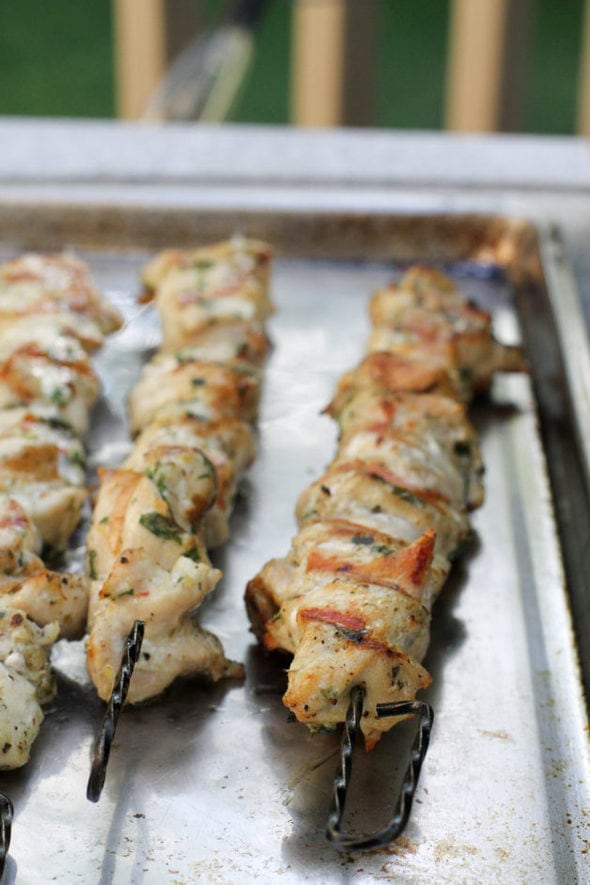 Marinated, grilled chicken on skewers.