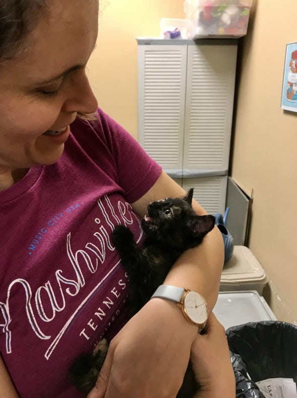 Kristen holding a baby torti kitten.