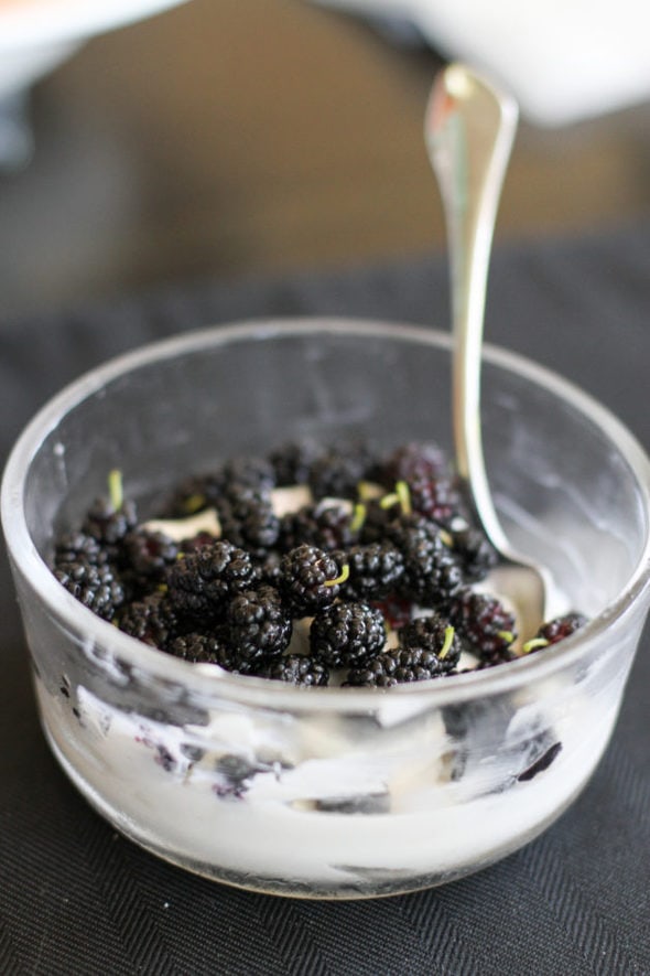 A bowl of yogurt topped with mulberries.