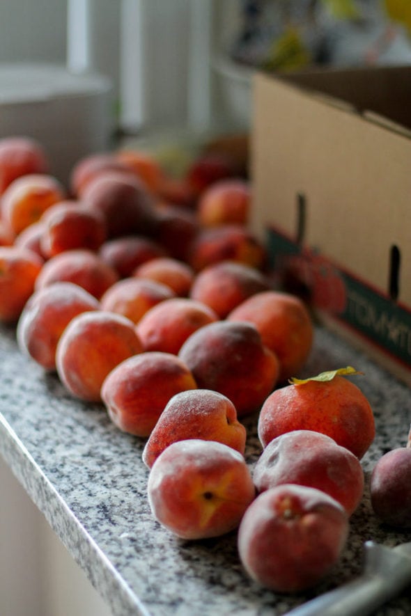 Peaches spread out on a kitchen countertop.