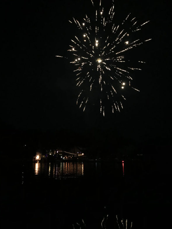 Fireworks exploding in a night sky over a river.