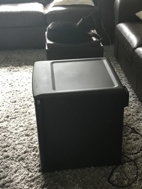 A dorm fridge sitting on the carpet.