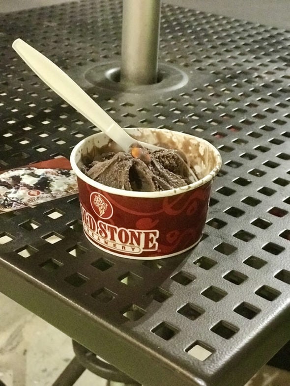 Small bowl of chocolate Coldstone Creamery ice cream.