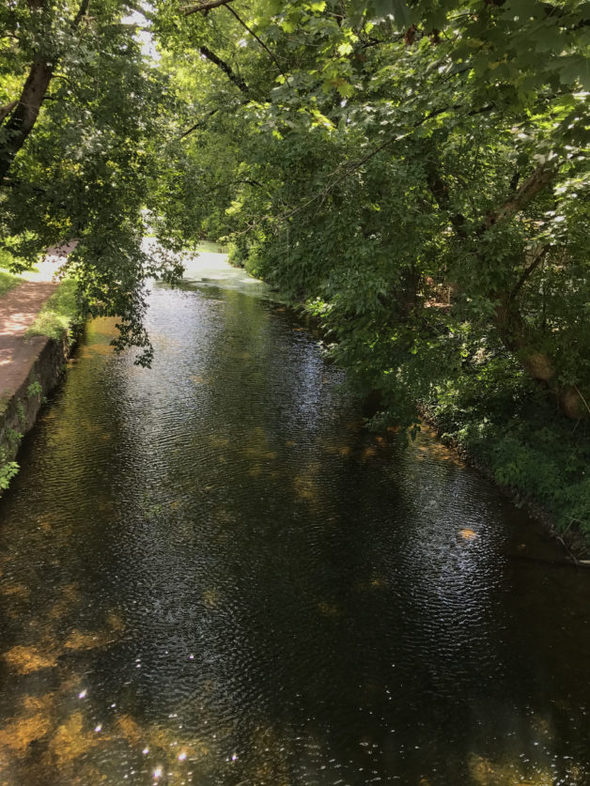 view of a canal on a sunny day.