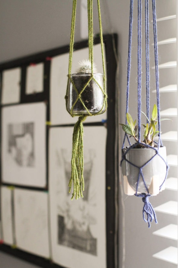 Cactus in a hanging macrame holder.