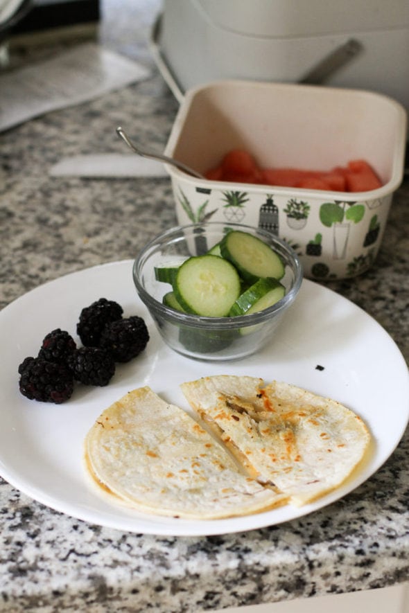 A quesadilla on a plate with produce.