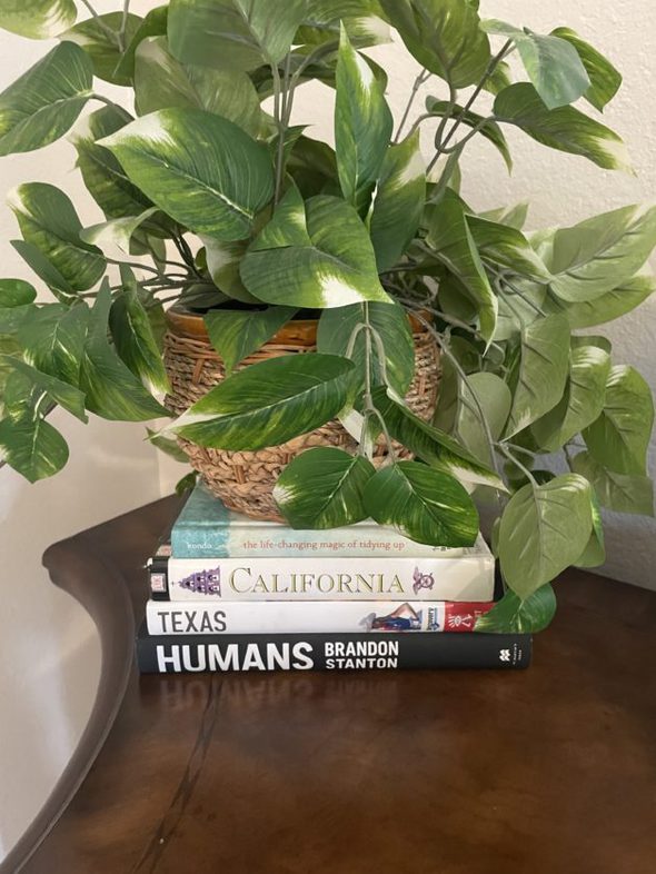 A stack of books with a plant on top of them.