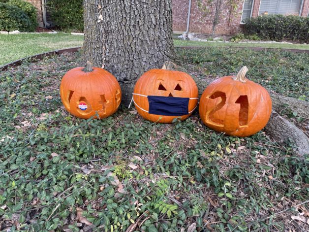 Three carved pumpkins.