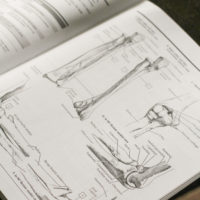 A page of arm-bone anatomy coloring.