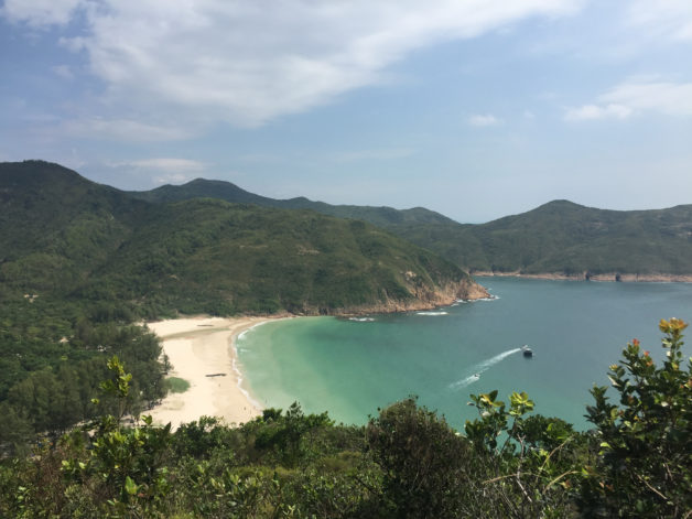 A beach surrounded by trees.