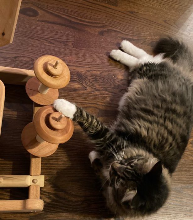 A cat next to a spinning wheel.