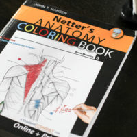 Netter's Anatomy Coloring book.