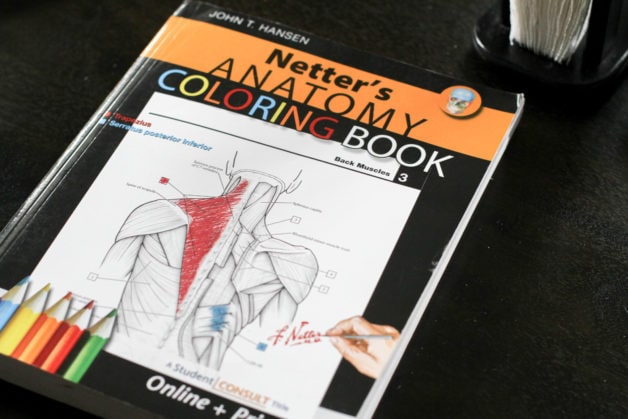 Netter's Anatomy Coloring book.
