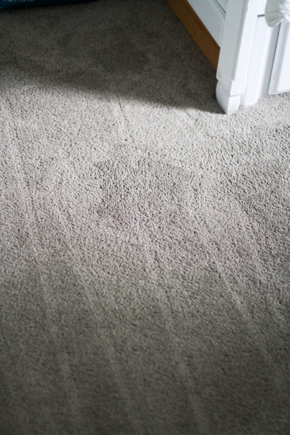 Carpet lines left by robot vacuum.