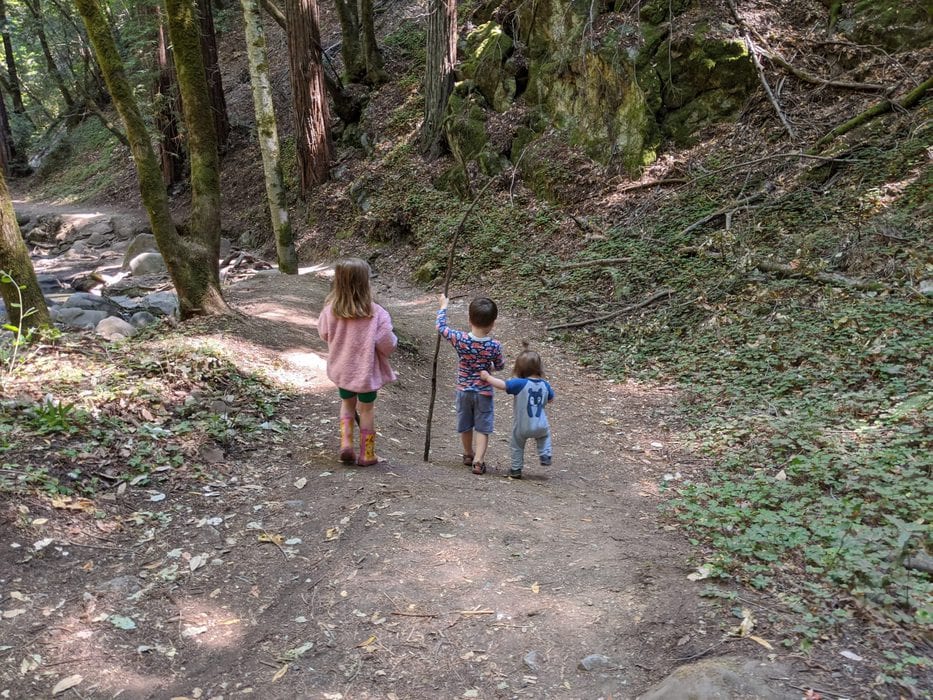 Three children hiking.