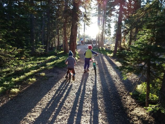 Boys riding bikes on a path.