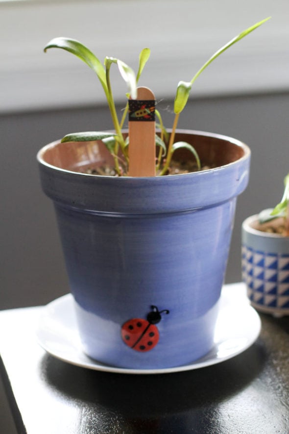 A purple pot with a ladybug painted on it.