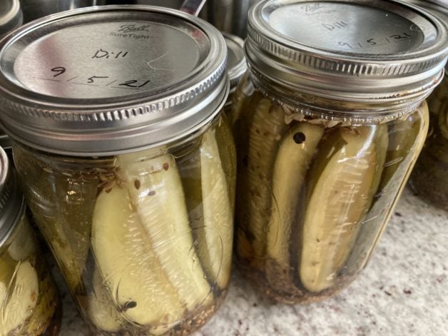 Jars of home-canned pickles