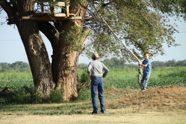 A little boy on a rope swing.