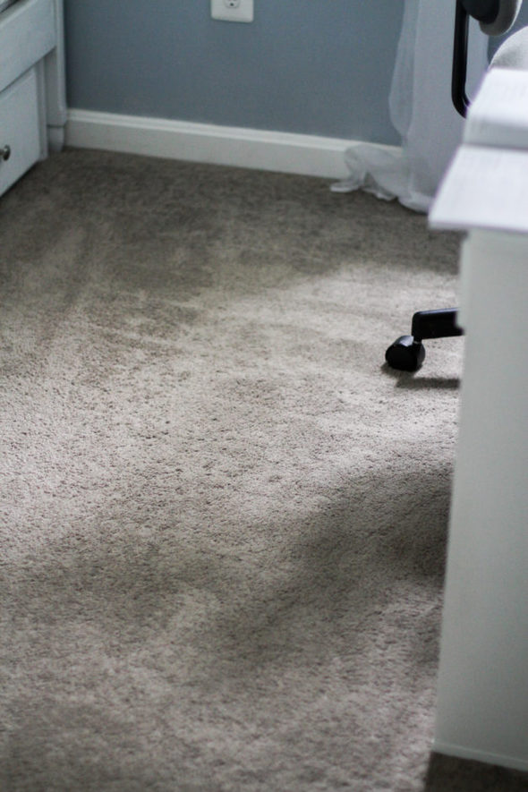 Vacuum lines on gray carpet.