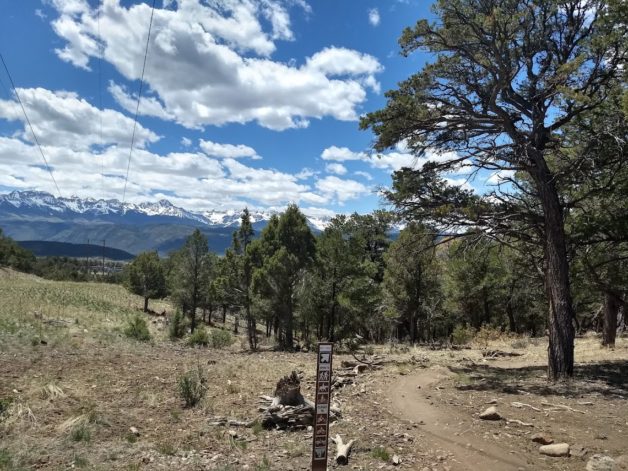 dry colorado lanscape.