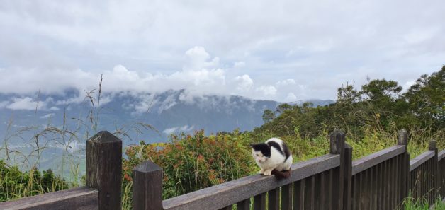 Reunion Island view.