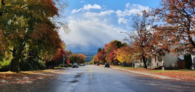 A fall view on a Canadian road.