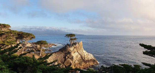 The Lone Cypress in Monterey CA.