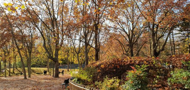 A French park in autumn.