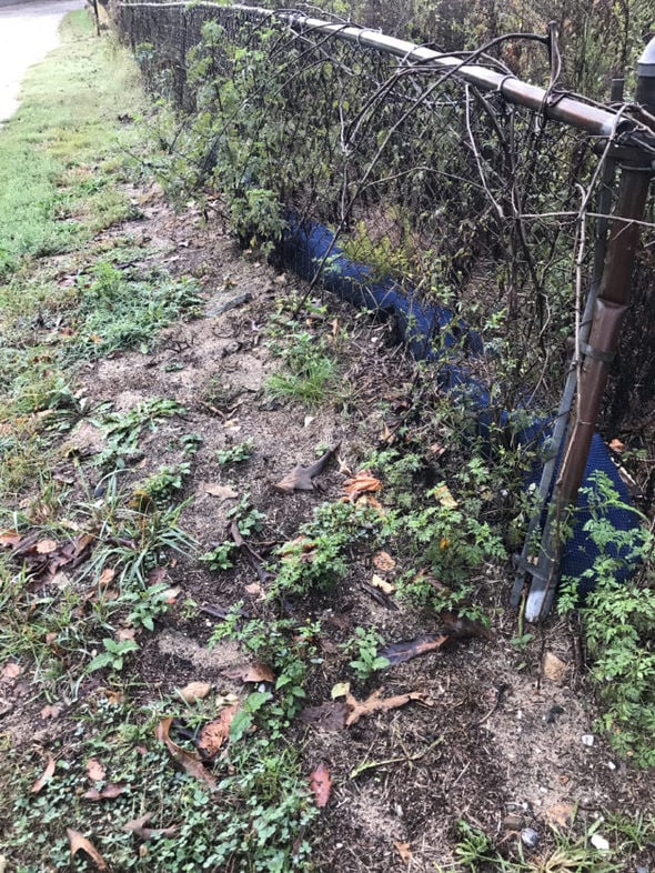 an old chain link fence.