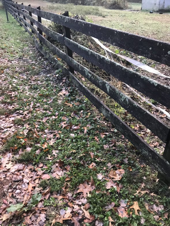 A broken fence.