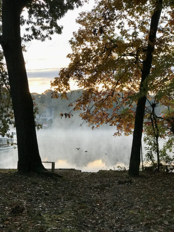 a bench next to a steaming river.