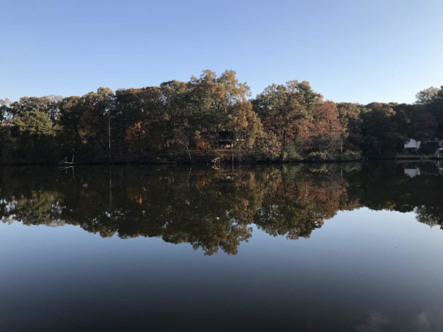 A river with trees on the shore.