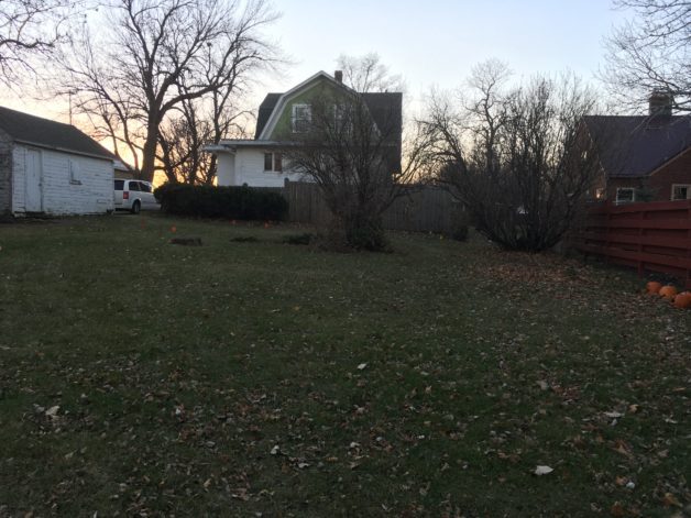 backyard of a house.