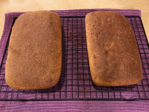 Two loaves of whole wheat bread.