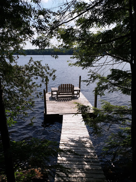 A view of a dock through evergreen trees.