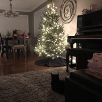 Christmas tree lit up.
