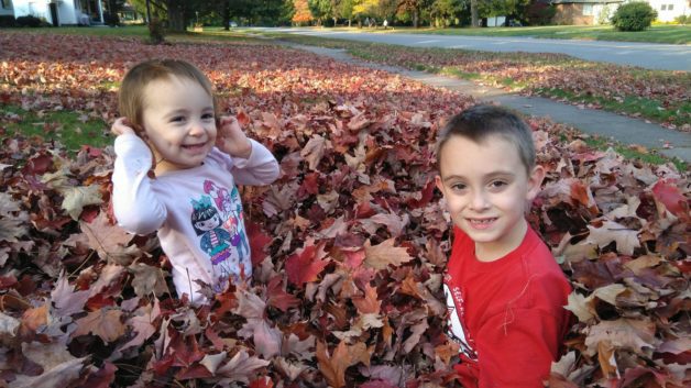 kids playing in leaves.