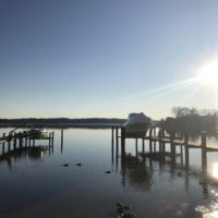 a view of a river from the shore.